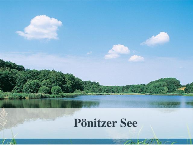Apartment Waldstrandnest Mit Weitblick