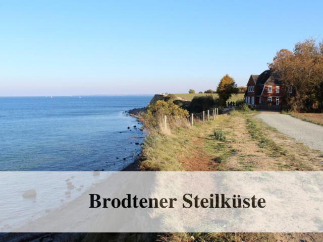 Waldstrandnest Mit Weitblick Apartment *